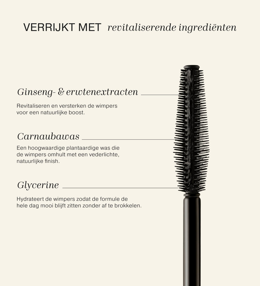 Foundation Duo (+ Cadeaus)